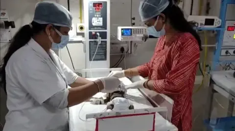 Newborn Buried Alive in India Fights for Her Life