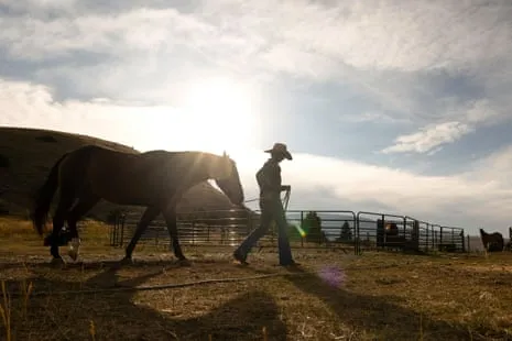 Meet the US Cowgirls Reshaping Modern Farm Life