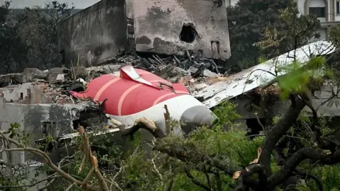Relatives of the Air India crash passengers file lawsuit aviation giants Honeywell and Boeing