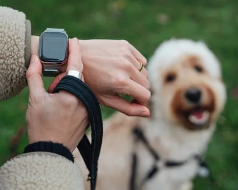 The Honest Scoop Regarding Smartwatches? Life Is Better Devoid of a Hectoring Zealot on Your Arm